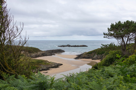 rocky beach cove with lush greenery, under a cloudy skyの写真素材