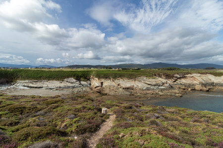 rocky coastline covered in green and purple vegetation under a bright blue sky with white clouds, with deep blue water visibleの写真素材
