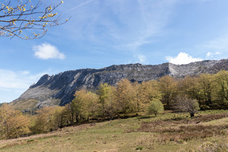 serene landscape with a rocky mountain, lush trees, and a clear blue skyの写真素材
