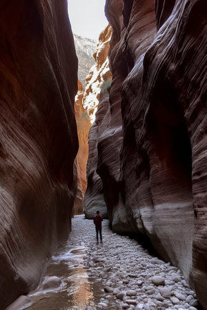 A person in a red jacket stands in a narrow, red-rock canyon with a shallow stream under a blue skyの素材