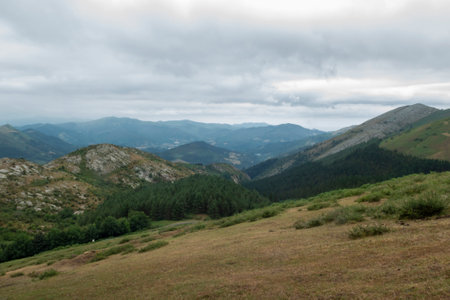 scenic view of rolling green hills and distant mountains under a cloudy, serene sky