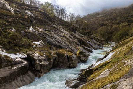 Whitewater river cascading through a rocky gorge in a mountainous landscape during springtime