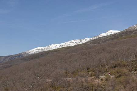 Winding mountain road leading to snow-capped peaks under a clear blue sky, showcasing the beauty of nature's transition from winter to springの写真素材