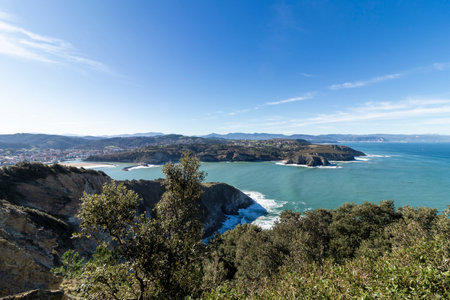 Scenic view of the cantabrian sea from a cliff with a maritime pine in the foreground, on a sunny dayの写真素材