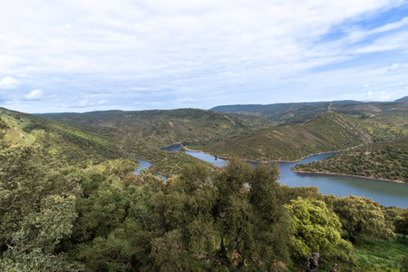 Meandering river making its way through green hills and vegetation in international tagus natural parkの写真素材