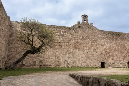 Medieval loarre castle walls with a bell tower and a leaning tree inside in huesca, spainの写真素材