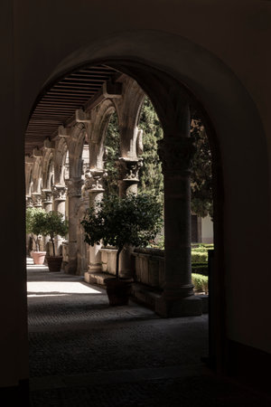 Sunlight illuminates potted plants in a cloister with stone columns and archesの写真素材