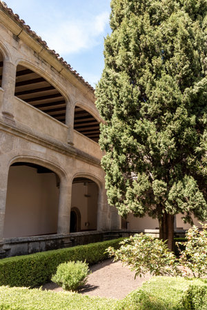 Cypress tree growing in a courtyard garden of a monastery or abbey with arches, a balcony, and a trimmed hedgeの写真素材