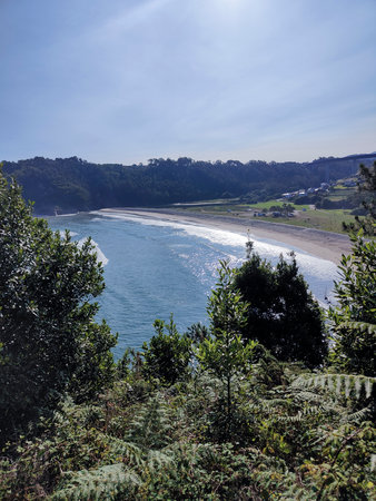 Green foliage frames a picturesque beach view with sparkling blue water and a clear sky in galicia, spainの写真素材