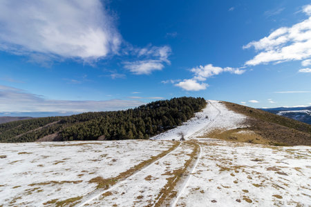 Winding mountain road covered with snow leading to a pine forest under a bright blue sky with white cloudsの写真素材