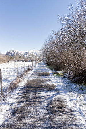 Tranquil winter scene featuring a snow-dusted path leading towards rolling hills, bathed in sunlightの写真素材