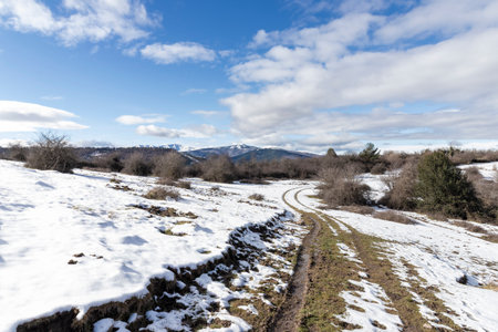 Winter landscape featuring a snowy path leading towards distant mountains under a bright blue skyの写真素材