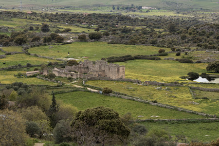 Landscape showcasing ancient building ruins in a green pasture with grazing cattle in the sardinian countrysideの写真素材