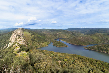 Breathtaking aerial view of tagus river meandering through lush green landscape of monfragÃ¼e national parkの写真素材