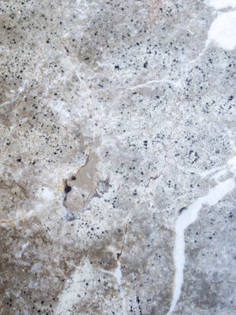 Granite stone surface showcasing natural gray and white speckled textureの写真素材