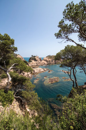 Rocky cove with clear turquoise water and various boats under a blue skyの写真素材