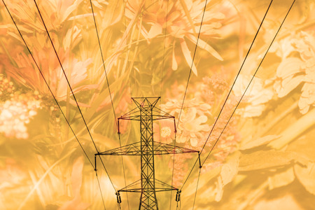 Double exposure high voltage power lines with flower background - Energy and environment conceptの写真素材