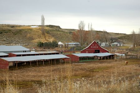 Cattle Ranch in the Palouse region of southwestern Washington Stateの写真素材