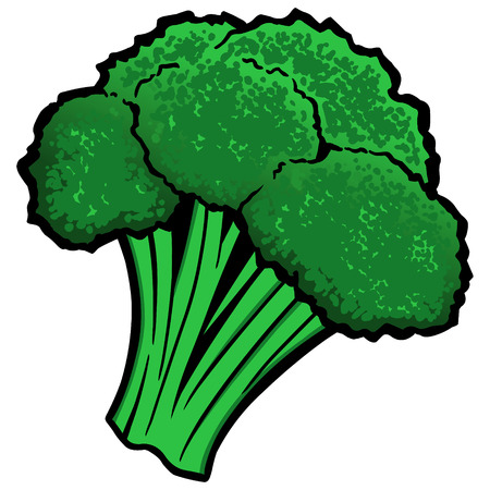 Broccoliのイラスト素材