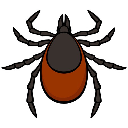 Tickのイラスト素材