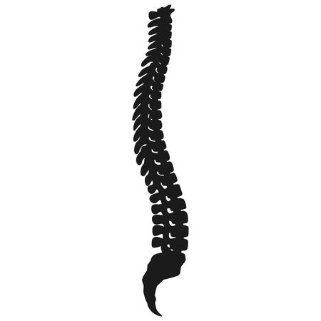Spine Silhouetteのイラスト素材