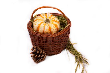 Pumpkin in a basket with a grassの写真素材
