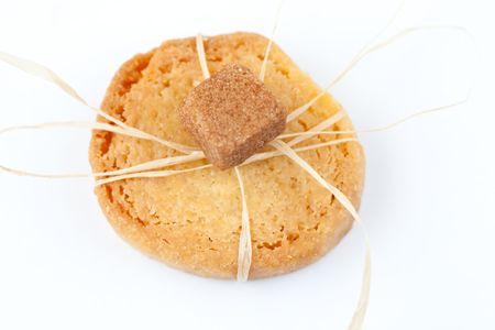 Vanilla cookie with a sugarの写真素材