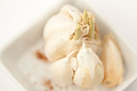 Garlic in the white plateの写真素材