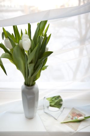 Bouquet of white tulips in vaseの写真素材