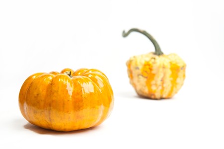 Tow orange decoration mini pumpkins over white の写真素材