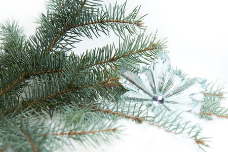 Christmas transparent star on a christmas tree の写真素材
