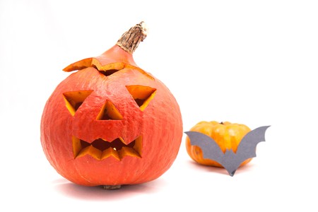 Halloween pumpkin & bat isolated on white の写真素材