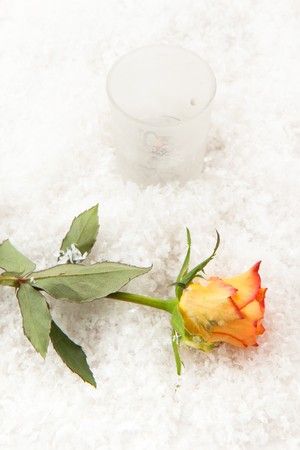 Beautiful rose and the burning candle on the snowの写真素材