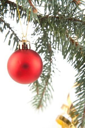Red christmas ball in the christmas treeの写真素材