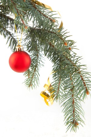 Red christmas ball in the christmas tree on the white backgroundの写真素材