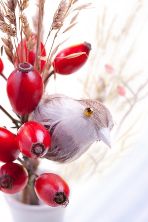 Bouquet of autumn berries and little birdの写真素材