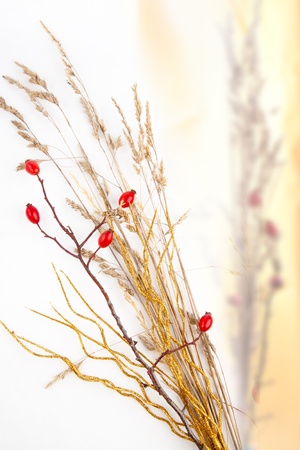 Decorative bouquet of autumn berriesの写真素材