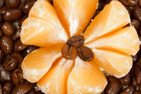 Cleared tangerine on the fragrant fried coffee beansの写真素材