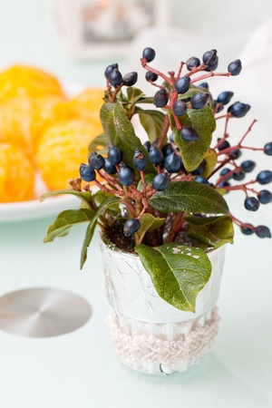 table setting with black berryの写真素材