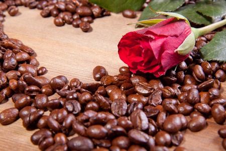 Beautiful red rose on the fragrant fried coffee beans as a heartの写真素材
