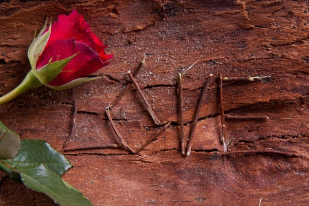 Composition as word love with red rose. For themes like love, valentine's dayの写真素材