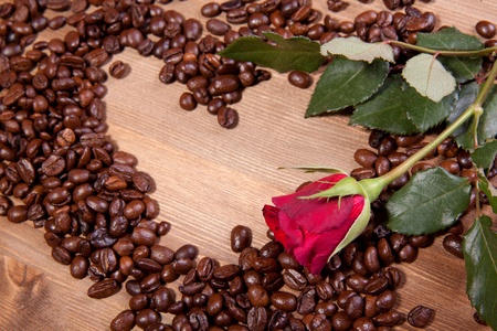 Fragrant fried coffee beans as heart and red roseの写真素材