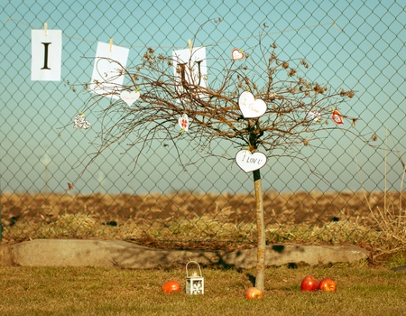 Tree with paper hearts. For themes like love, valentine's dayの写真素材
