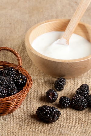 Wooden bowl with Yogurt and blackberriesの写真素材