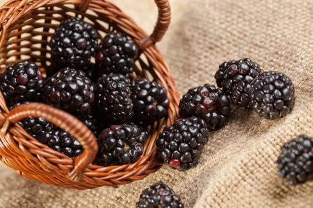 Blackberries from basket on sackclothの写真素材