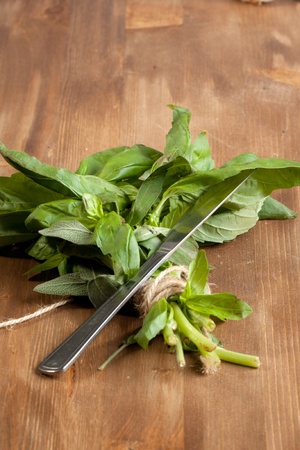 Basil bunch with knife on wooden tableの写真素材