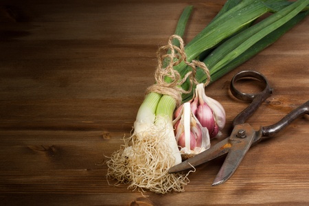 Onion, garlic and old scissors on a wooden tableの写真素材