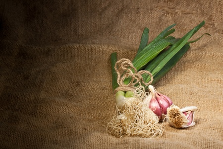 Garlics and green onion on sackingの写真素材