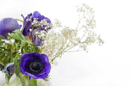 Bouquet of blue and white flowers over white backgroundの写真素材