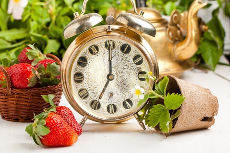 Old golden alarm-clock, old teapot and fresh strawberries on white table